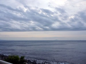 IMG_11